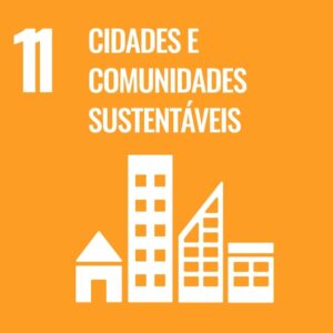 SDG-11